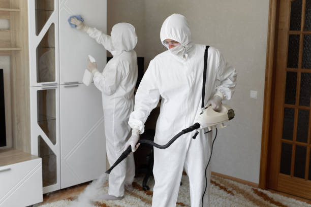 24/7 Emergency Odor Removal experts in Ossipee, NH